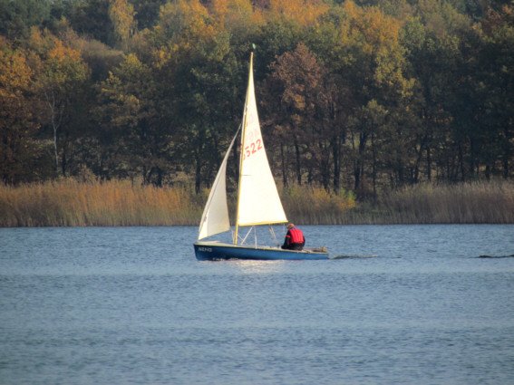 Herbstspaziergang