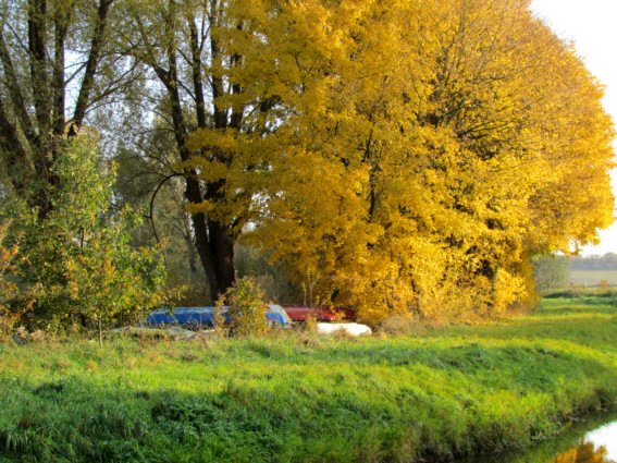 Herbstspaziergang