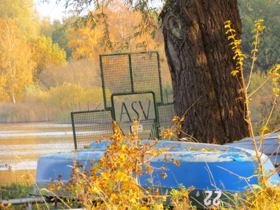 Herbstspaziergang