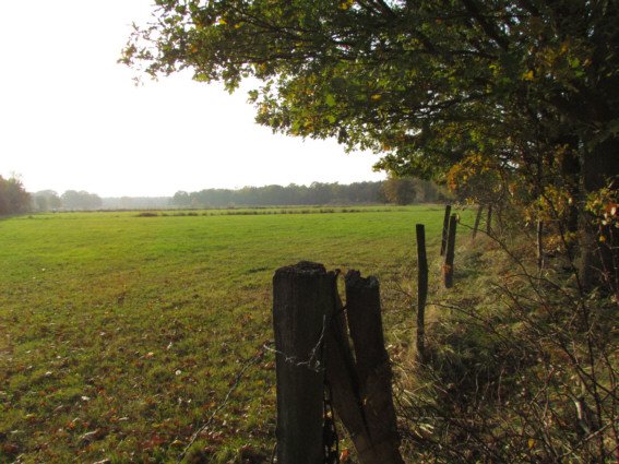 Herbstspaziergang