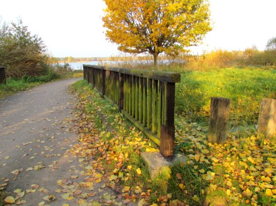 Herbstspaziergang