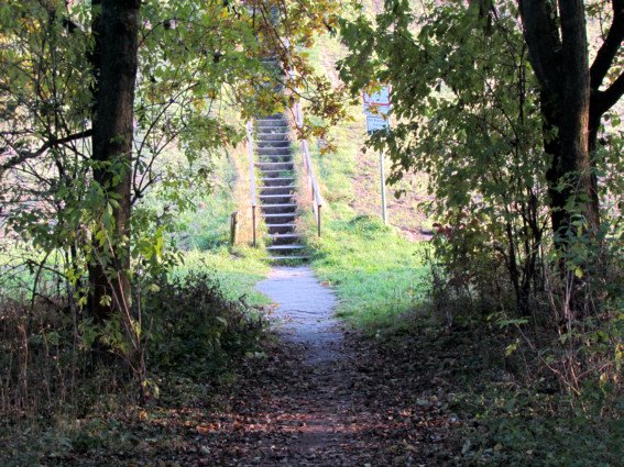 Herbstspaziergang