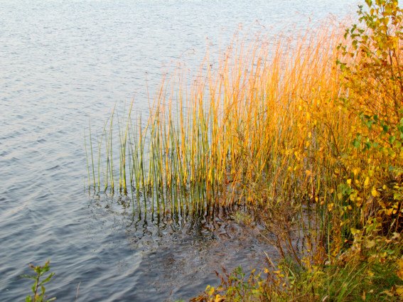 Herbstspaziergang