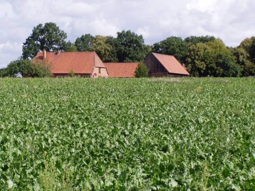 Rundgang Isenbüttel