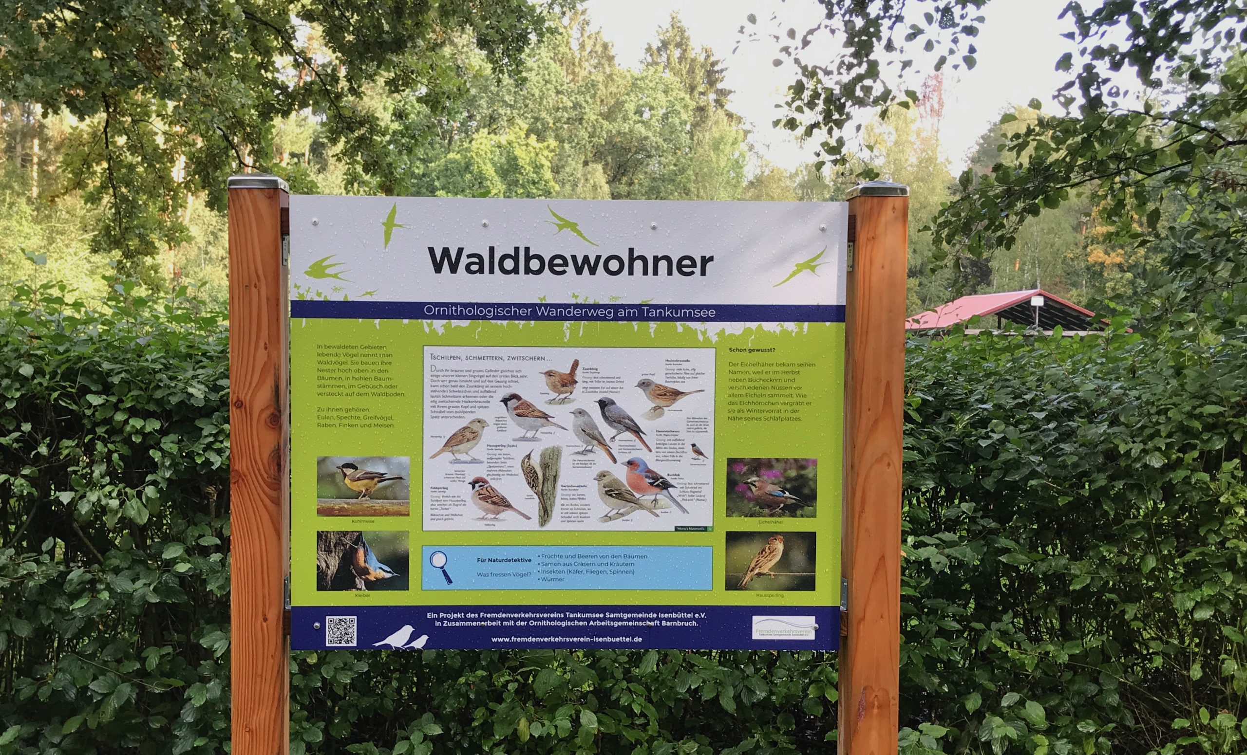 Ornithologischer Wanderweg am Tankumsee