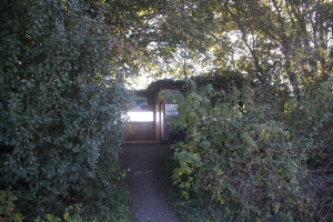 Beobachtungsstand Ilkerbruch