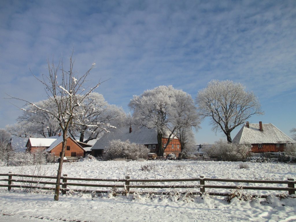 Wasbüttel im Winter