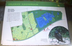 Das Naturschutzgebiet Ilkerbruch