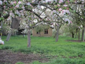 Streuobstwiese mit Strohballenhaus