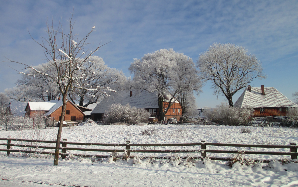 Wasbüttel im Winter