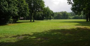 Zeltwiesen am Tankumsee